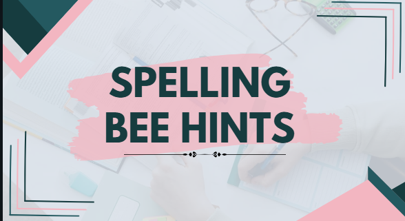 Mastering the Spelling Bee Top Hints and Strategies for Success