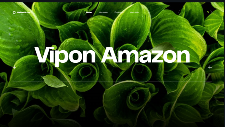 Vipon Amazon